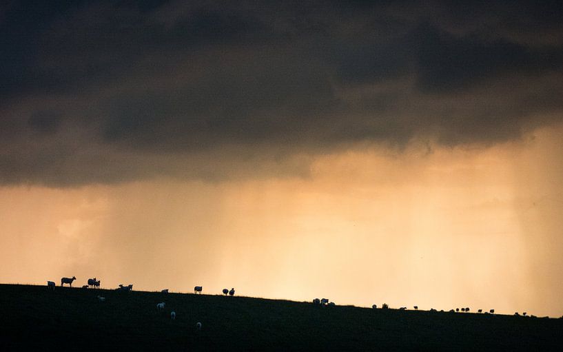 Gewitter - Wert von Maurice Weststrate