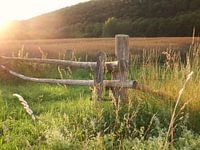 Backlihgt in the Extervalley