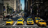 Taxi's New York City