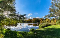 Swan pond in Putbus castle park