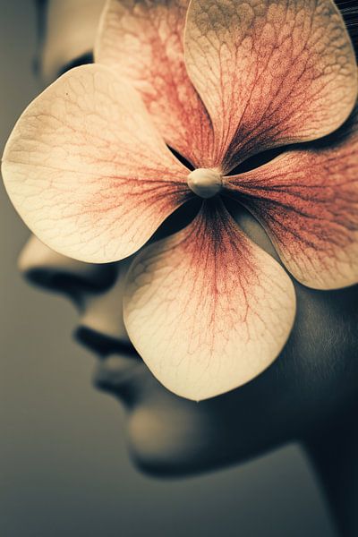 Hide by Bert Nijholt