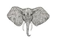 Illustration Elefant