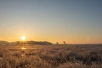 Sonnenaufgang über dem Drents Friese Wold im Winter in Drenthe