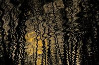 Reflection of sunlight and trees in undulating water