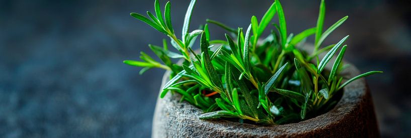 Herb pot by Poster Art Shop