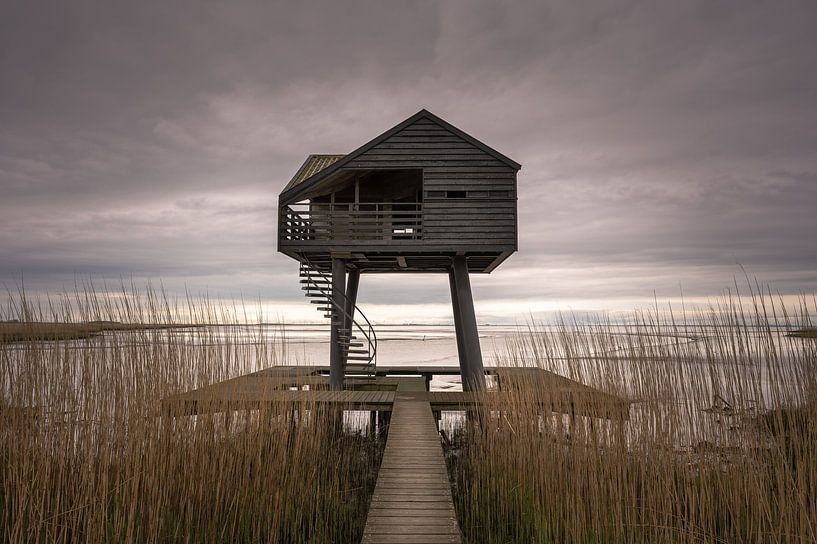 Kiekkaaste von Jan Georg Meijer