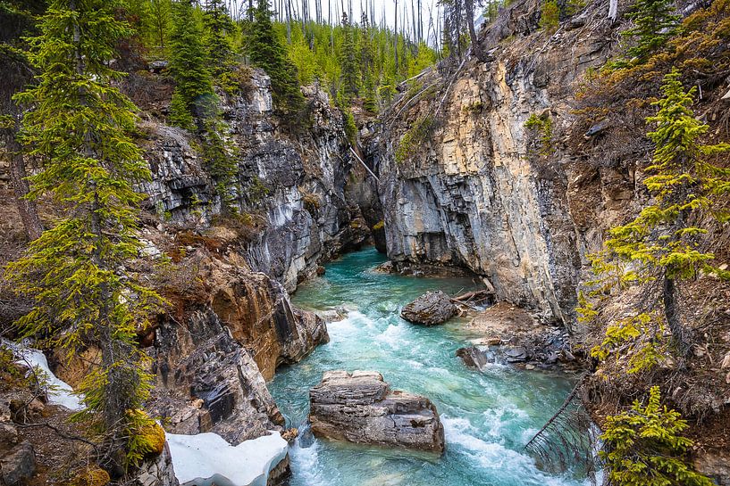 Marmorschlucht, Kootenay Nationalpark, Kanada von Rietje Bulthuis