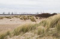 Blick auf die Maasvlakte 2 vom Strand Oostvoorne