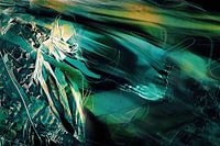 Im Wirbelwind des Lebens