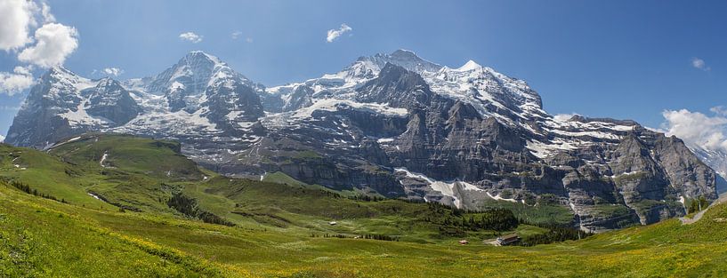 Panorama Jungfrau Region von Bart van Dinten