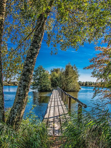 Bruggetje in het natuurpark De Deelen in Friesland by Harrie Muis