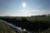 Weiland in de vroege ochtend