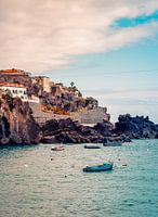 Camara de lobos, Madera