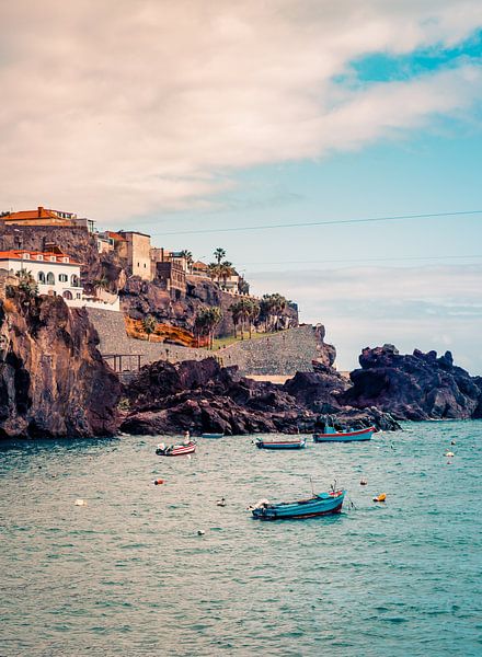 Camara de lobos, Madera von Alette Jager