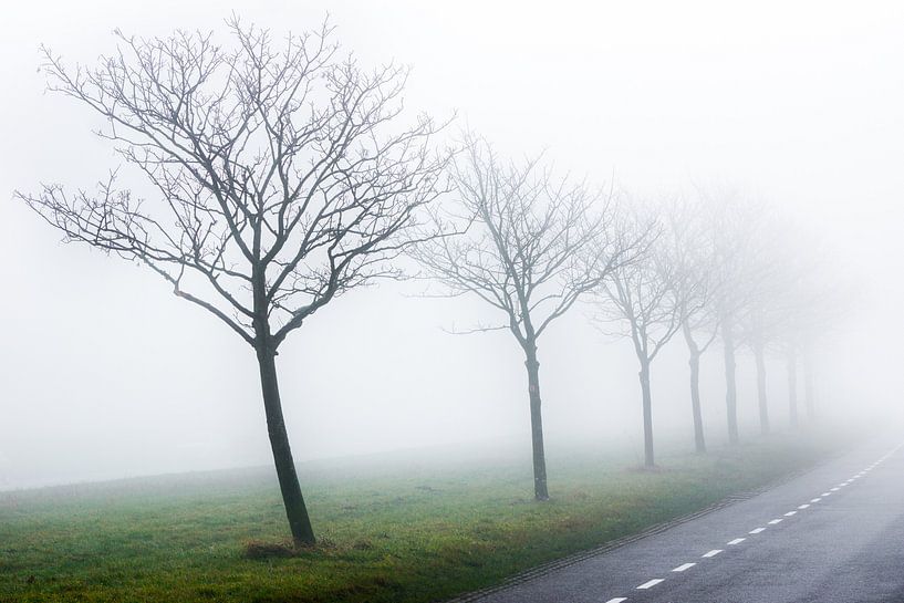 Foggy morning [2] von Jordy Kortekaas