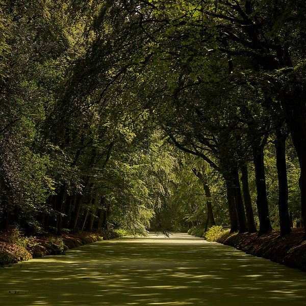 Feeling green von Gerard Oonk