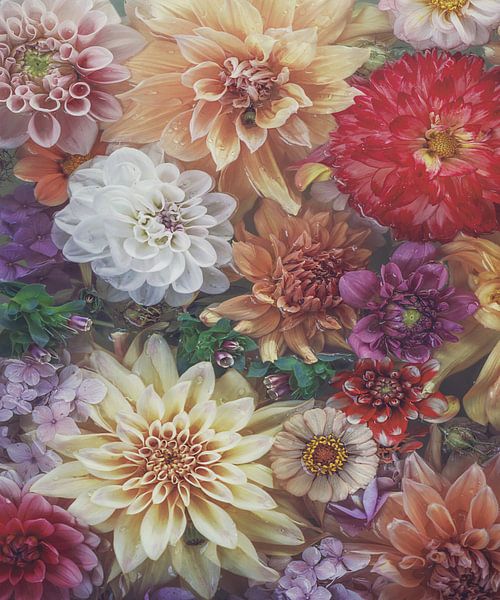 Dahlien von Marina de Wit