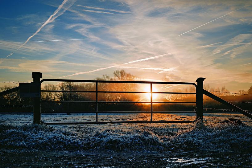 Icy morning calm - sunrise in the Bünde nature reserve by Momentaufnahme | Marius Ahlers
