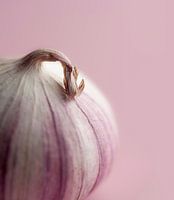 Knoflook (minimalistisch , food)