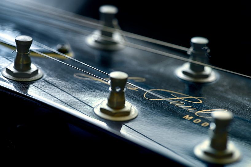 Gibson Les Paul - Play my guitar by Rolf Schnepp