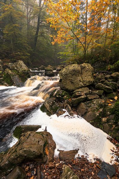 Adembenemende Waterval in de Belgische Ardennen: Herfstlandschap van Hevonax Photography