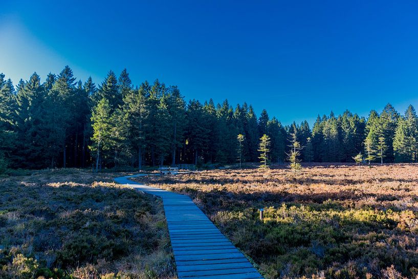 Herbstwanderung auf den Höhen des Thüringer Waldes von Oliver Hlavaty
