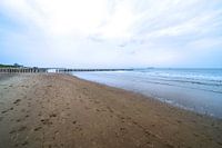 Beach walk in Zeeland