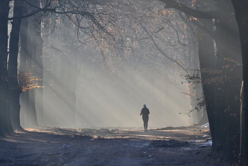 Laufen im Nebel von Sammie van der Hooft