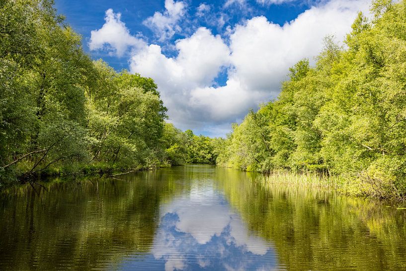 The Weerribben, National Park Weerribben-Wieden. by Gert Hilbink