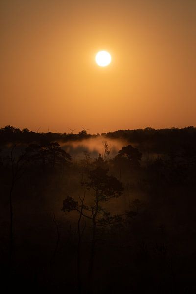 Great silence by Theo Bauhuis
