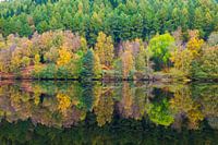 Herbst im Spiegelbild