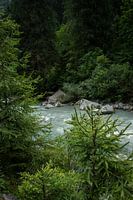 nature in the Dolomites