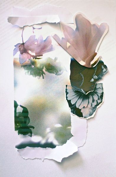 Malva-Collage von Marianna Pobedimova