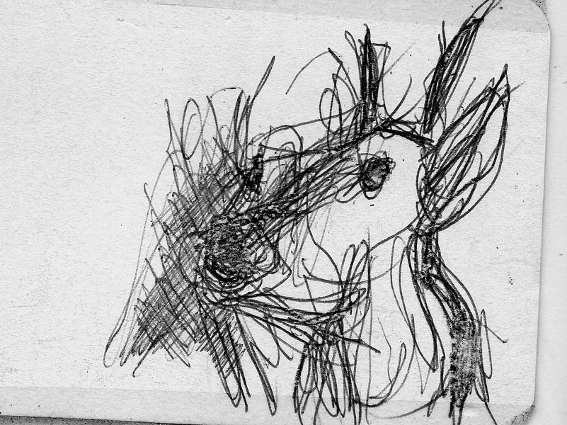 HERT par Vincent Jacobs