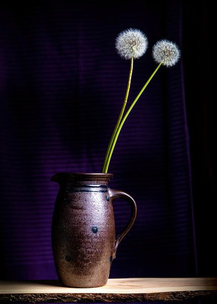 Löwenzahn von Frans Nijssen