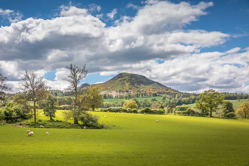 Green pastures at Eildon Hill near Melrose by Christian Müringer