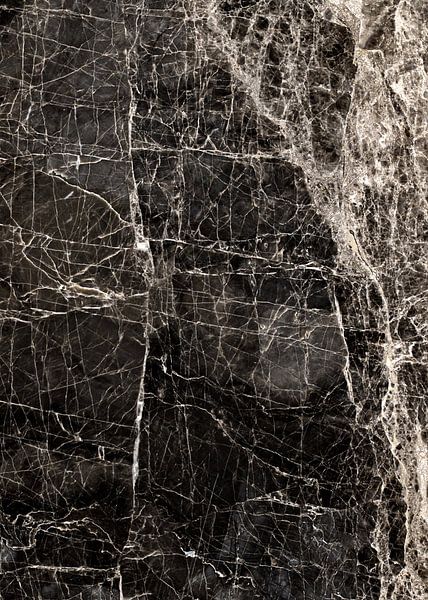 ABSTRACT BLACK &amp; WHITE v3 van Pia Schneider