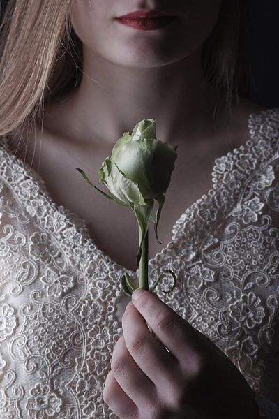 Rose by Arnold van Rooij