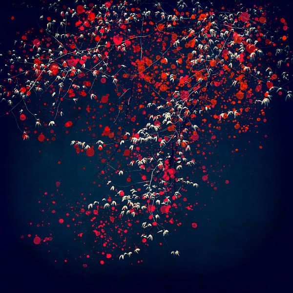 fire blossom tree 5 by Dorit Fuhg