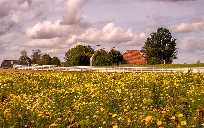 Aduarderzijl Groningen by Marga Vroom