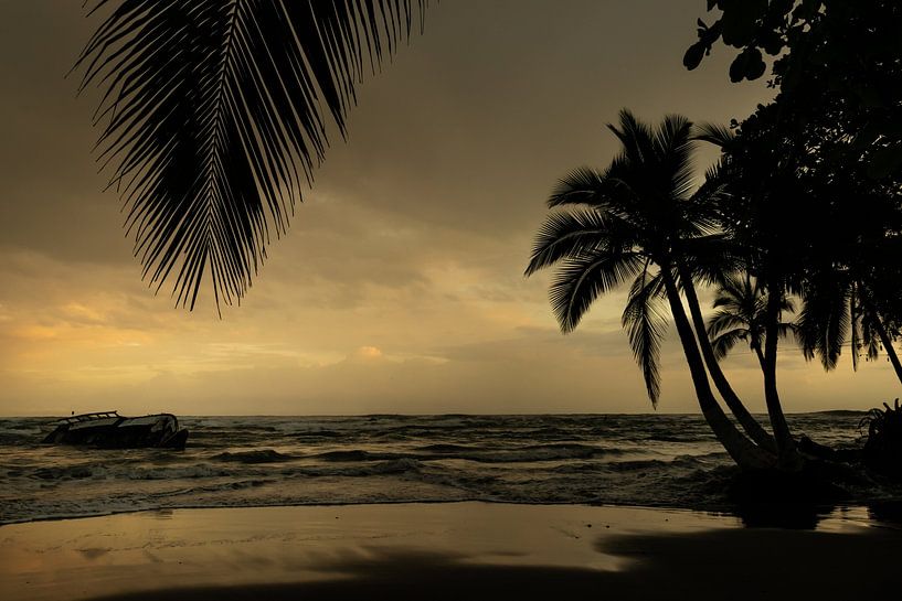 Lever de soleil sur les palmiers à Puerto Viejo - Sérénité caribéenne par Rick Massar