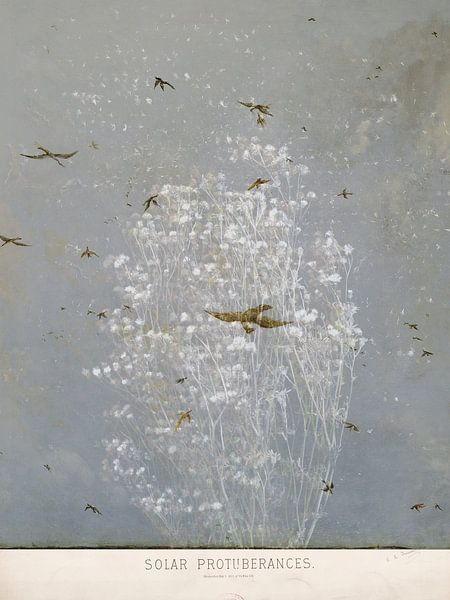 Vertrauensfall I von Marianna Geraci