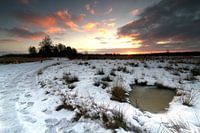 Winter Haaksbergerveen