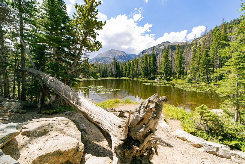 Bedrohlicher Himmel in den Bergen von Louise Poortvliet