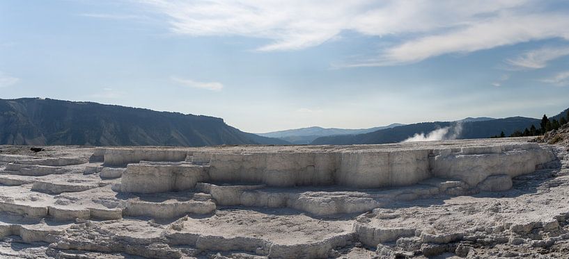 Mammoth Hot Springs, parc national de Yellowstone, États-Unis par Jeroen van Deel