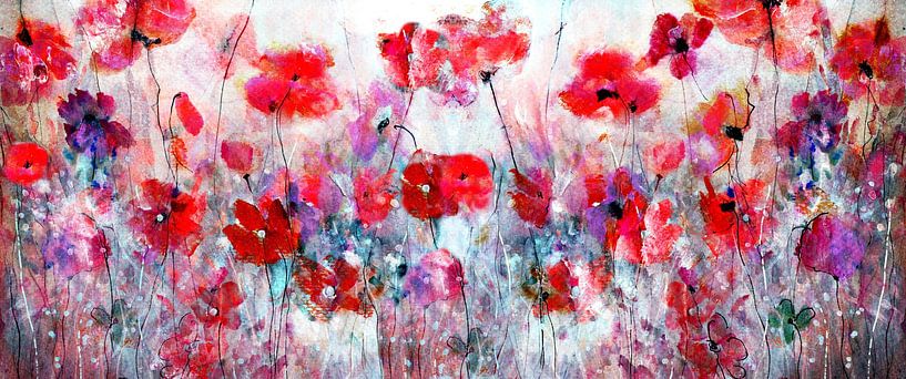 der Charme eines Mohnblumenfeldes von Claudia Gründler