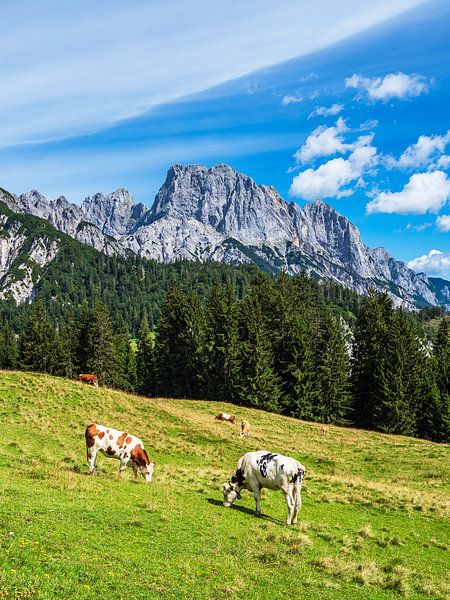 Vue du Litzlalm avec des vaches en Autriche par Rico Ködder