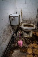 Verschmutzte Toilette mit rosa Klobürste