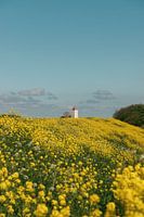 Leuchtturm de Ven im schönen Enkhuizen