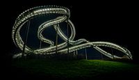 Der Tiger & Turtle